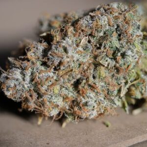 Jealousy Feminized Seeds - BULK x 100
