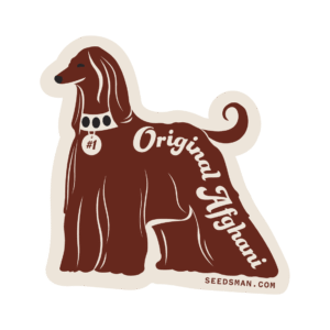 Original Afghani #1 Regular Seeds