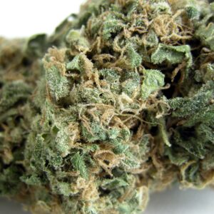 Original Skunk #1 Regular Seeds