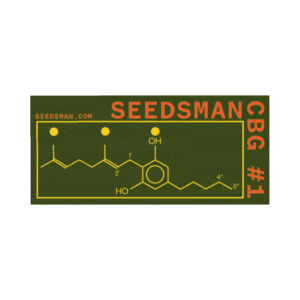 Seedsman CBG #1 feminized Seeds