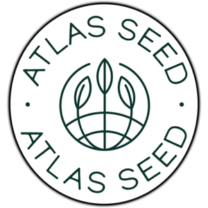 GMO FAST Feminized Seeds