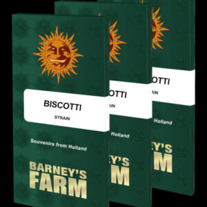 Biscotti Feminized Seeds