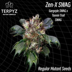 Zen-X Swag Regular Seeds