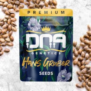 Hans Gruber Feminized Seeds