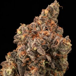 Banjerine FAST Feminized Seeds
