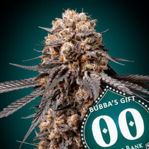 Bubba's Gift Feminized Seeds