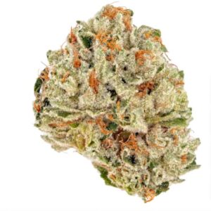 Socrates Sour Feminized Seeds