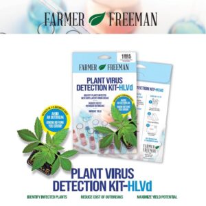 HLVd DETECTION KIT 1-PACK