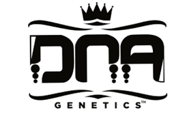 3Peat Feminized Seeds