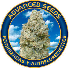 Advanced Seeds