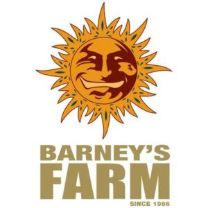 Apple Fritter Feminized Seeds