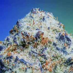 Blueberry Sprinklez S1