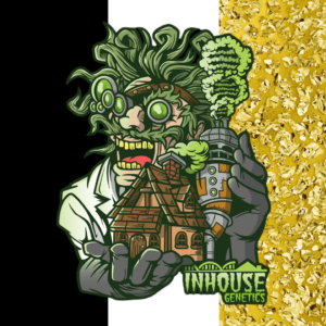 33rd Degree Feminized Seeds