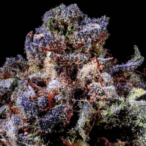 Rainbow Sherbet #11 S1