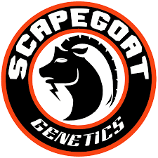 Scapegoat Exotics