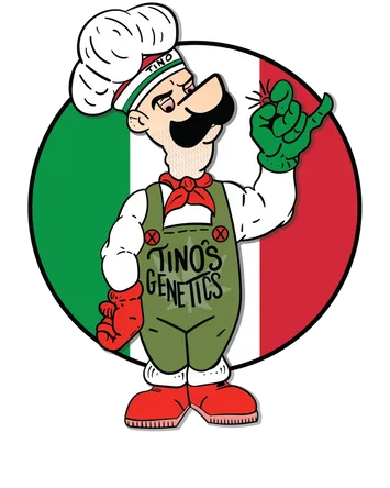 Tino's Genetics