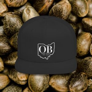Ohio Flat Bill Snapback Hat, Casual Style Cap, Trendy Gifts for Him, Unique Baseball Hat, Perfect for Outdoor Activities, Summer Wear