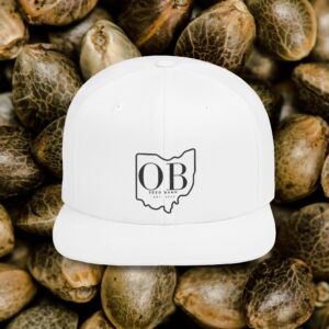Ohio Graphic Flat Bill Snapback Hat, Casual Streetwear Cap, Gift for Him, Trucker Hat Style, Summer Fashion Accessory