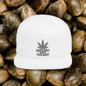 Camo Flat Bill Snapback Hat, Hip-Hop Style Cap for Men and Women, Casual Streetwear, Outdoor Adventure Gift, Festivals, Parties