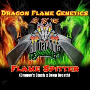 Flame Splitter