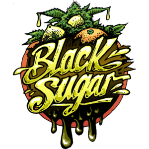 Black Sugar Feminised Seeds - 3