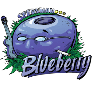 Blueberry Feminised Seeds - 3