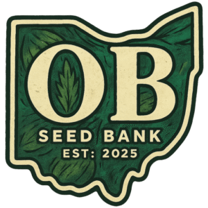 Alaskan Bananaberry Auto Feminised Seeds - 1