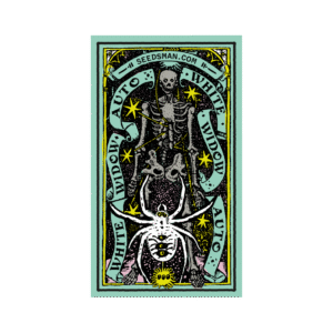 White Widow Auto feminized Seeds - 5 Seeds