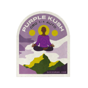 Purple Kush CBD 1:1 Auto feminized Seeds - 5 Seeds