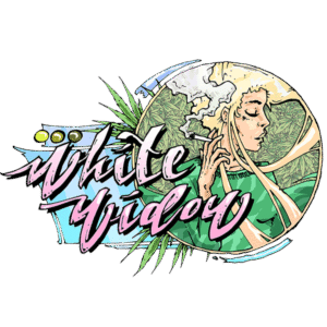 White Widow feminized Seeds - 3 Seeds