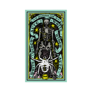 White Widow Auto feminized Seeds