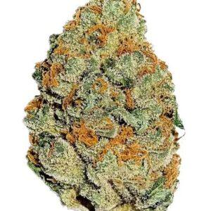 Lemon Mandarin Feminized Seeds