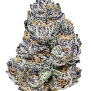 Rainbow Melon Feminized Seeds