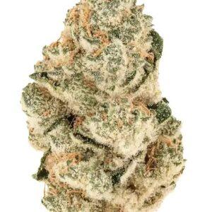 Gorilla Melon Feminized Seeds