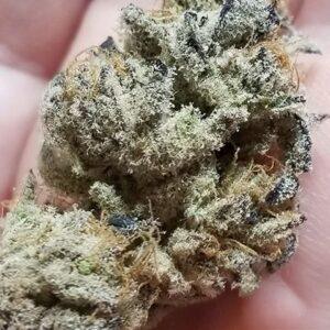 Banana Cake Feminized Seeds