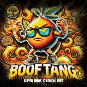 Boof Tang Feminized Seeds