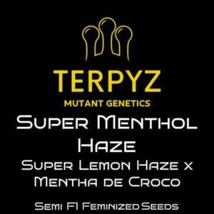 Super Menthol Haze Feminized Seeds