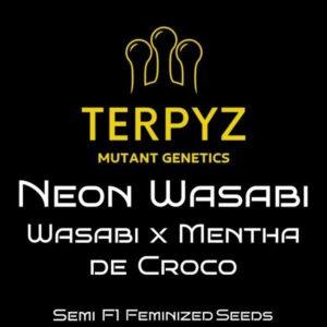 Neon Wasabi Feminized Seeds