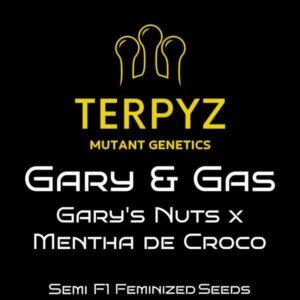 Gary & Gas Feminized Seeds