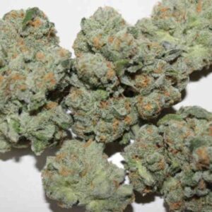 ZaZa Skunk Feminized Seeds