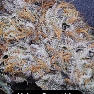 Velvet Smoothie Feminized Seeds