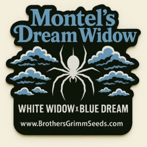 Montel's Dream Widow Feminized Seeds