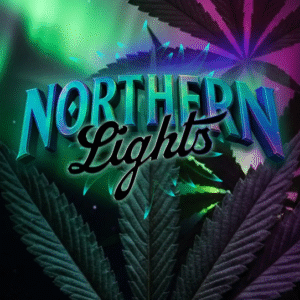 Northern Lights Feminized Seeds