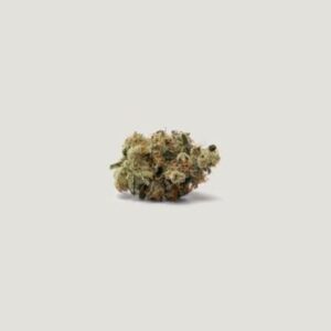 Spidey Sauce Feminized Seeds