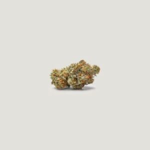 NorCal Sour Z Feminized Seeds