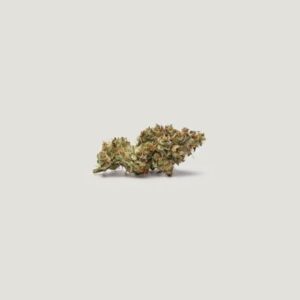 Key Lime Tart Feminized Seeds